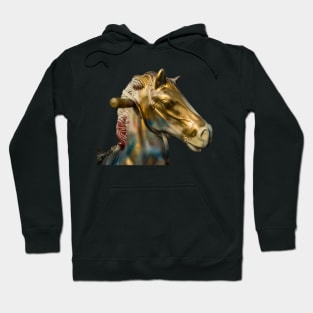 Golden Corn Field Hobby Horse Hoodie